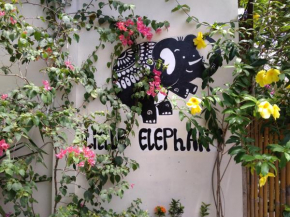 Little Elephant Cottage